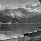 Tegernsee im .... Frühling!