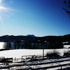 Tegernsee im Schnee 10