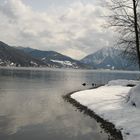 Tegernsee mit Wallberg