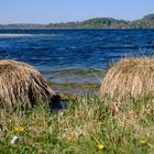 Tegernsee Naturhocker