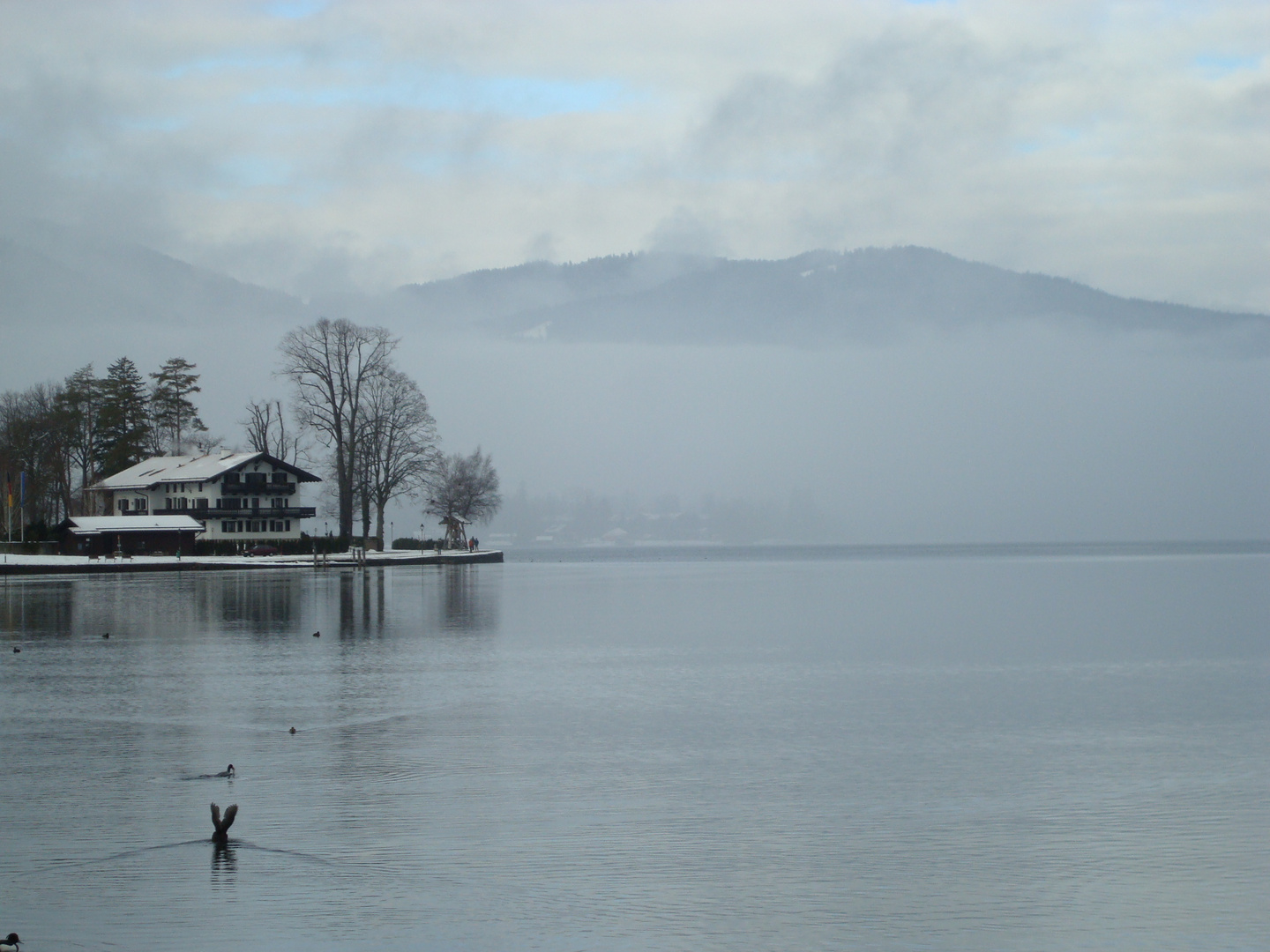 Tegernsee..in nebel