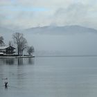 Tegernsee..in nebel