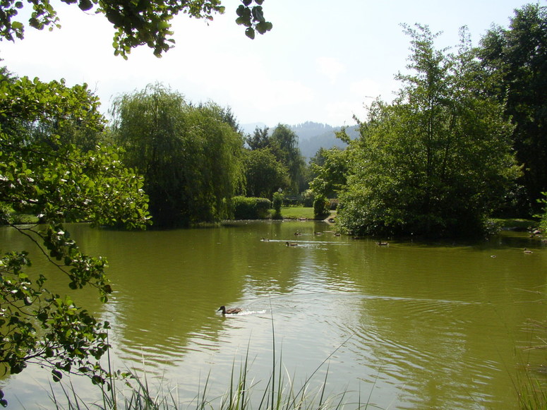 Teich 4