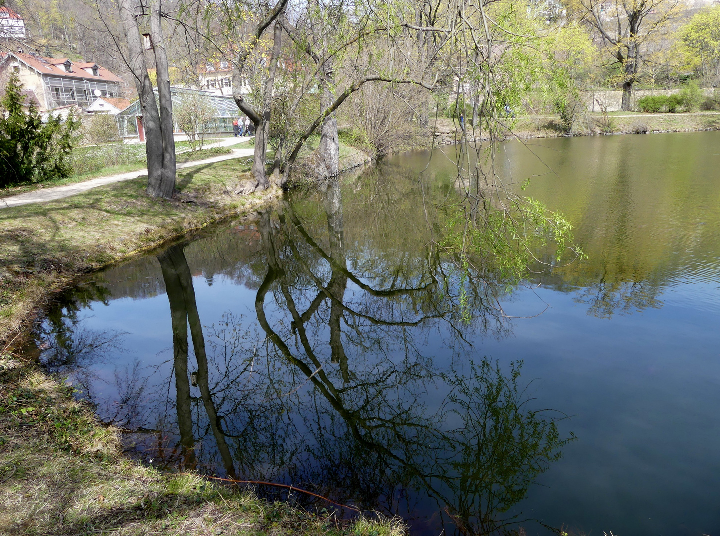 Teich am chinesischen Pavillon