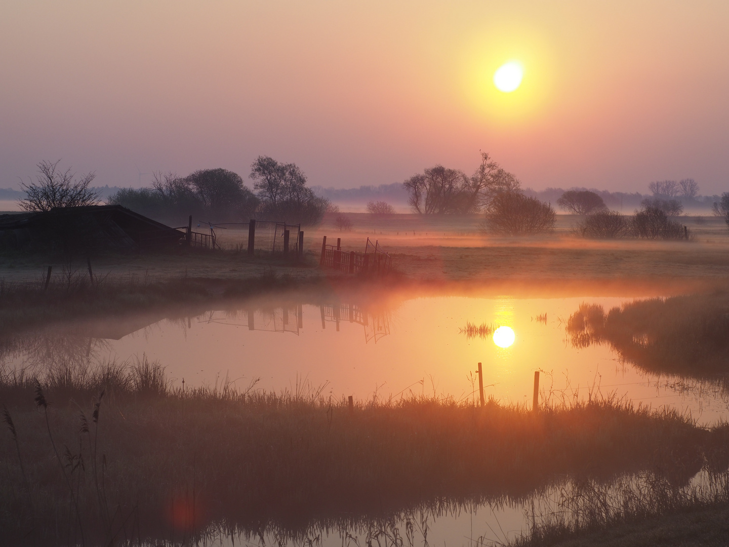 Teich am Deich Foto & Bild landschaft, bach, fluss & see, see, teich