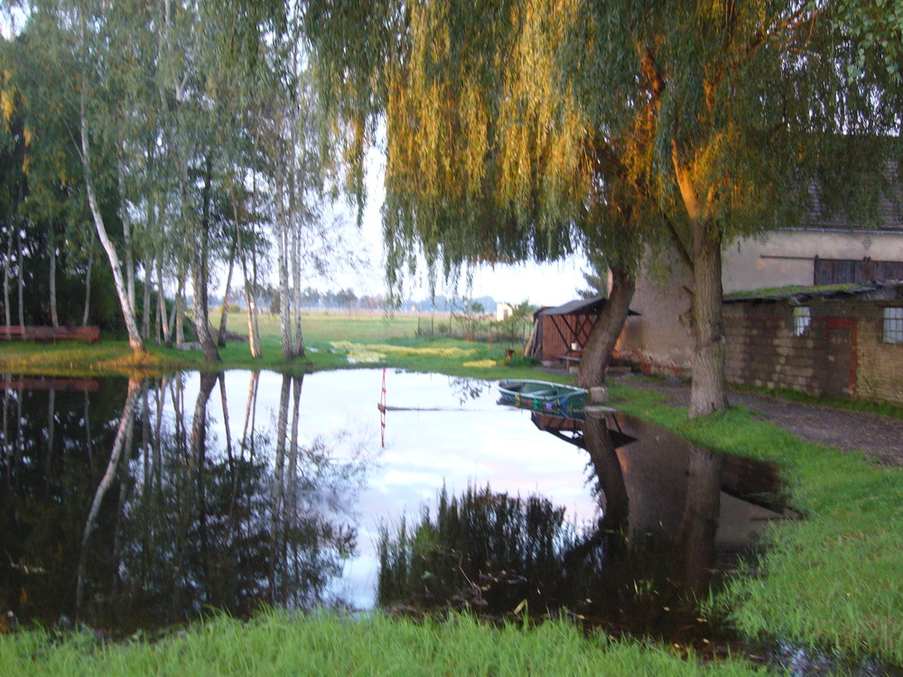 Teich am frühen Morgen