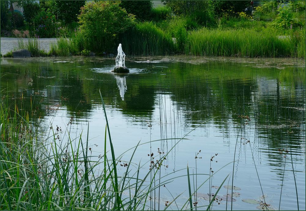 Teich  am  Herzogsägmühler