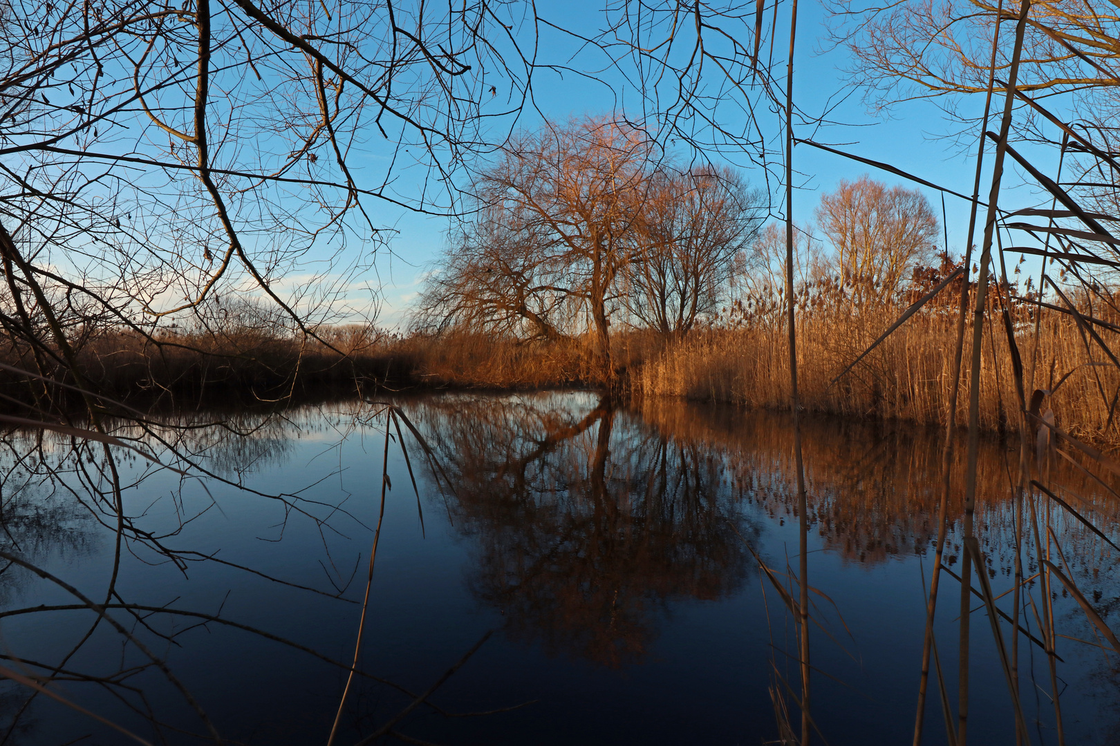 Teich am Kleinen Anger