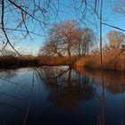 Teich am Kleinen Anger