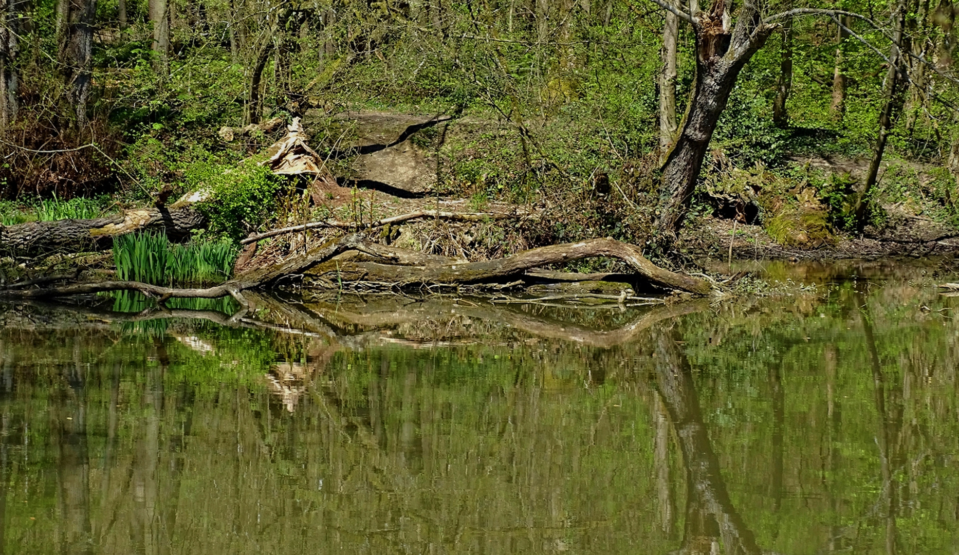 Teich am Lüntenbecker Schloss