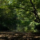 Teich am Oberbergweg oberhalb Balsthal Schweiz