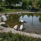 Teich am Park an der Mühle