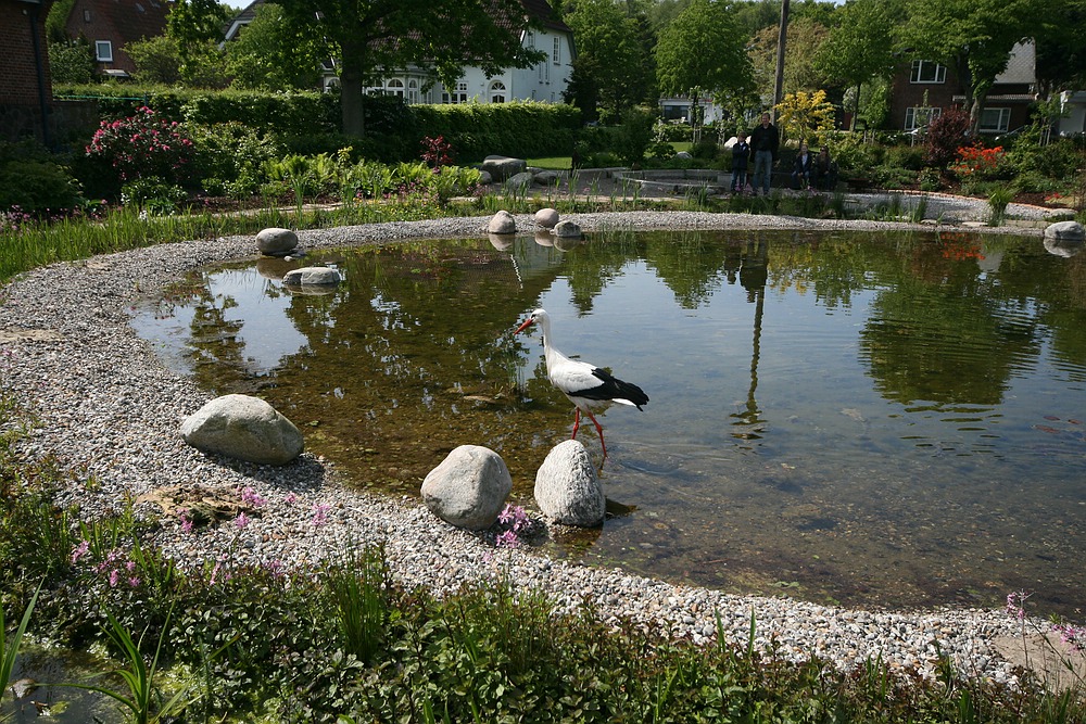 Teich am Park an der Mühle