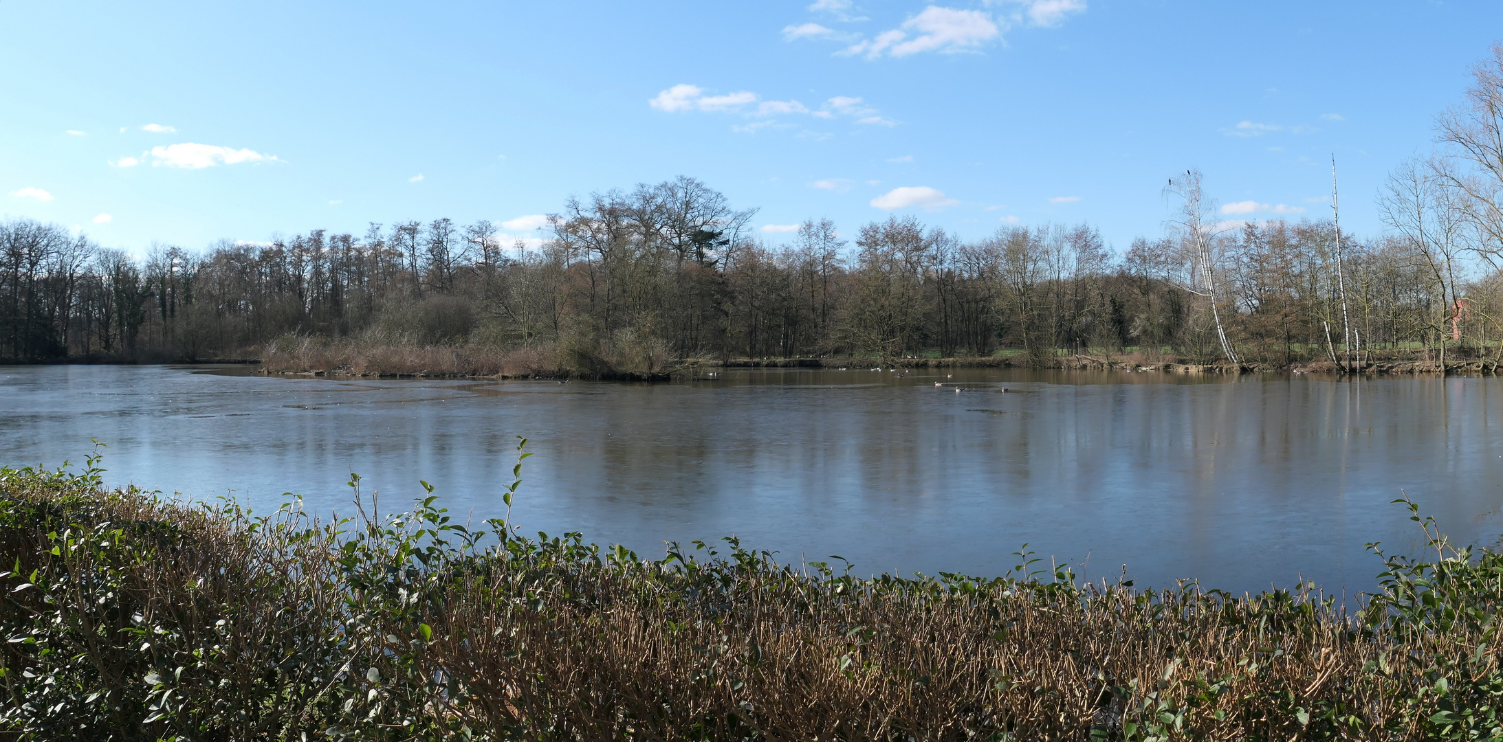 Teich am Schloss Buldern/Münsterland Foto & Bild landschaft