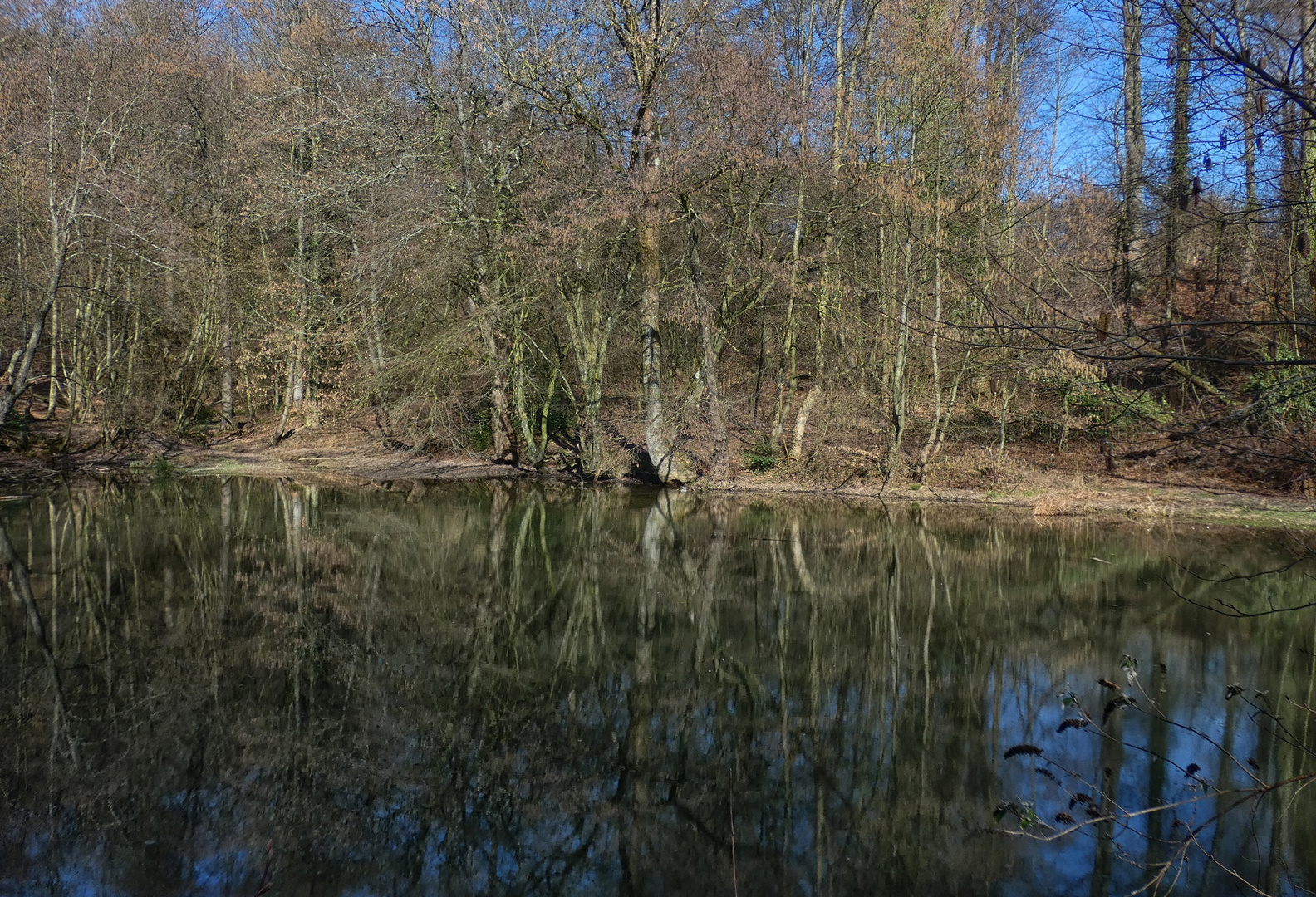 Teich am Schloss Lüntenbeck