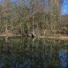 Teich am Schloss Lüntenbeck