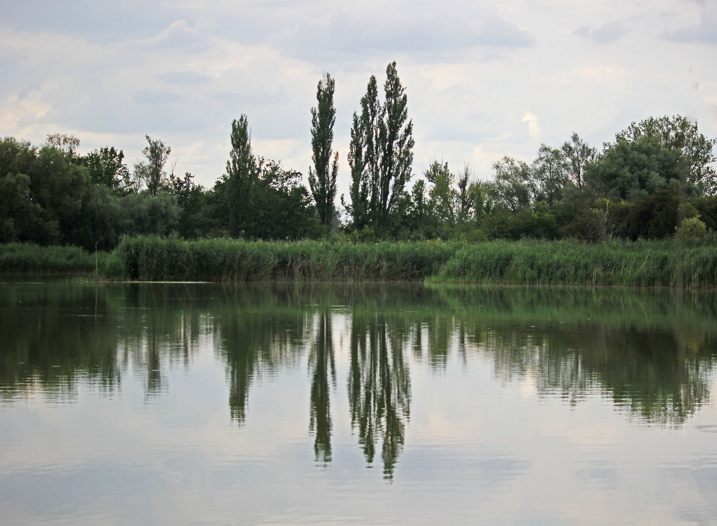 Teich am Spiegeltag