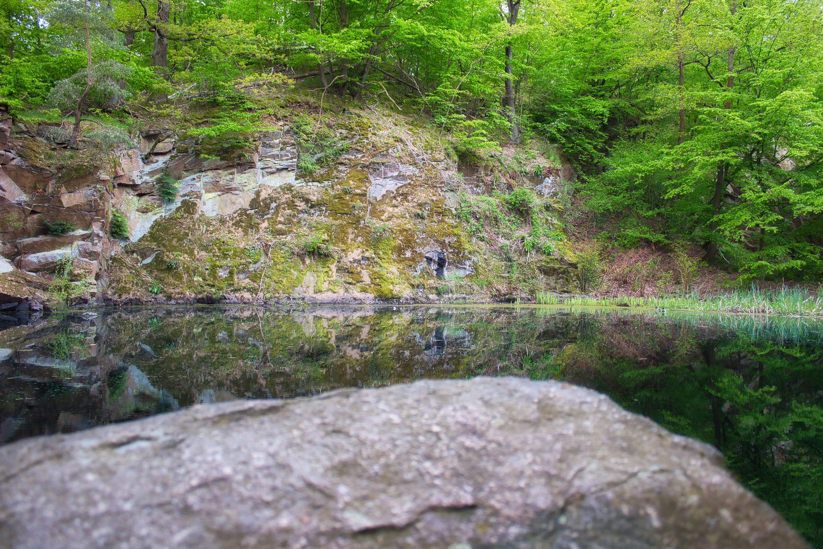 Teich am Steinbruch