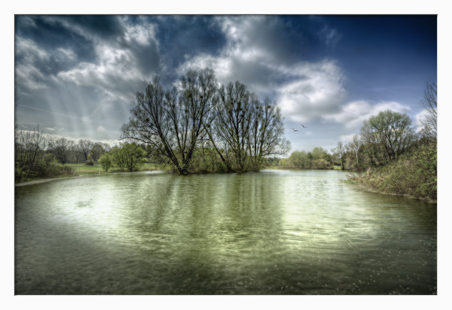 Teich am Waldfriedhof