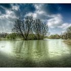 Teich am Waldfriedhof