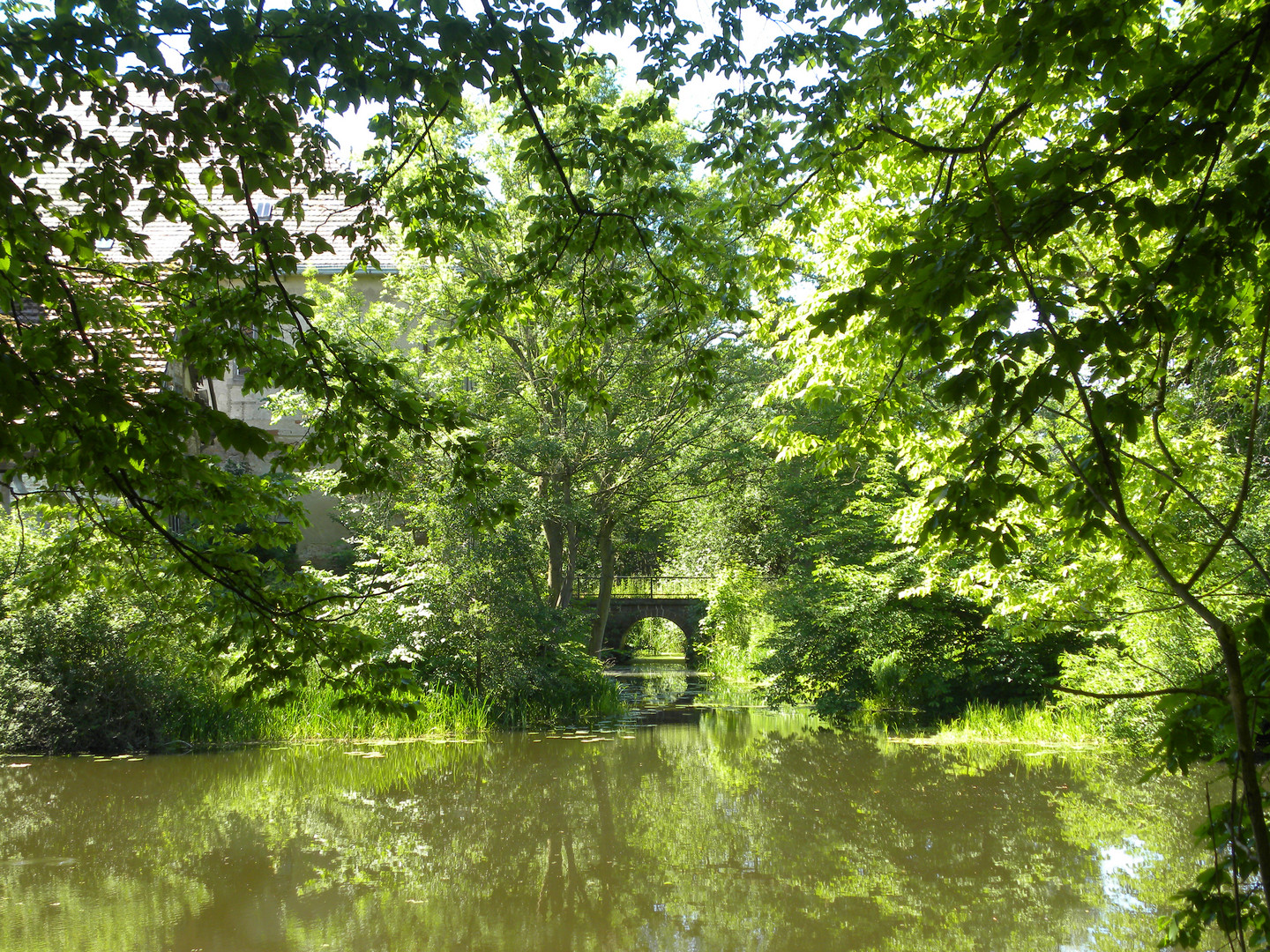 Teich am Wasserschloß Gnemern