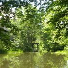 Teich am Wasserschloß Gnemern