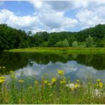 Teich an der Aprather Mühle