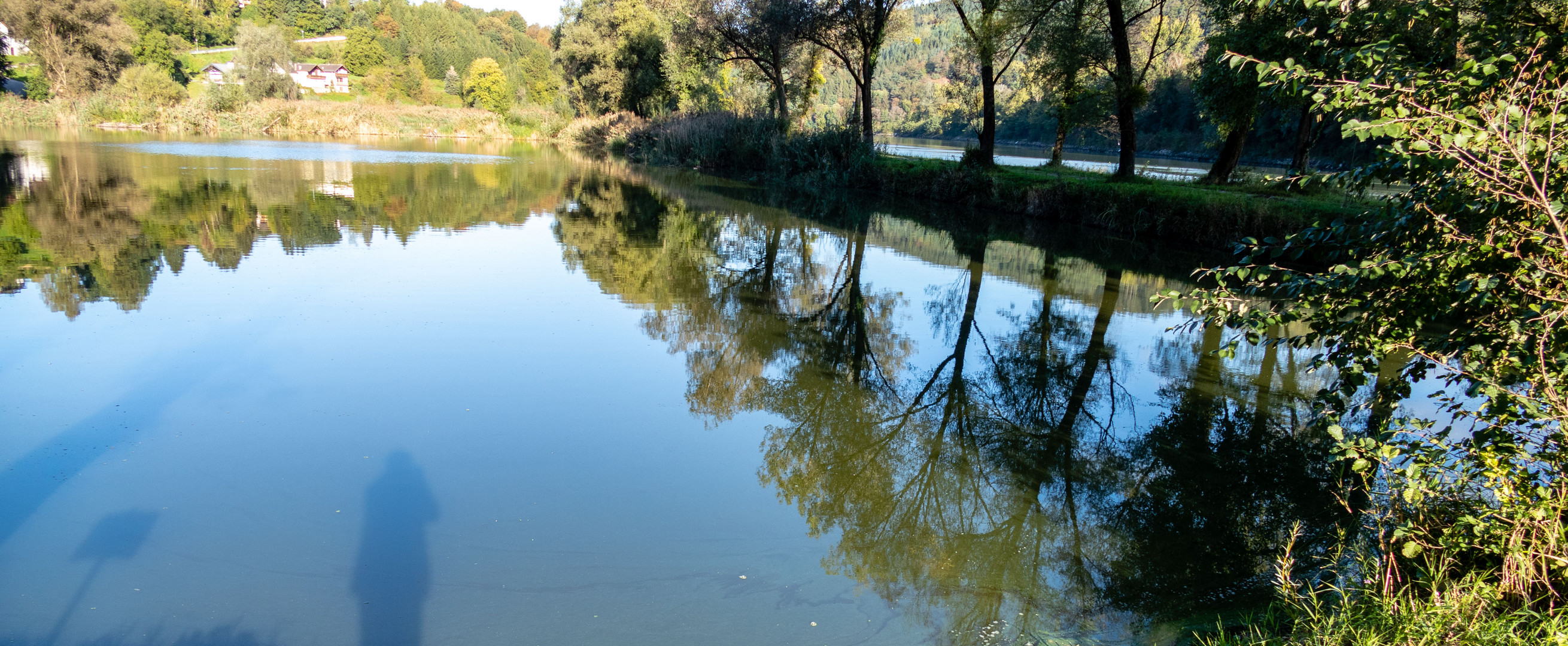 Teich an der Donau 