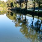 Teich an der Donau 