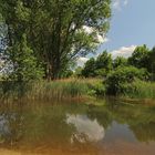 Teich an der Einmündung