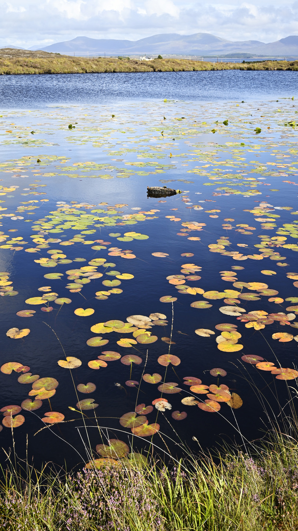 Teich auf Archill