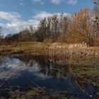 Teich auf der Bruchwiese