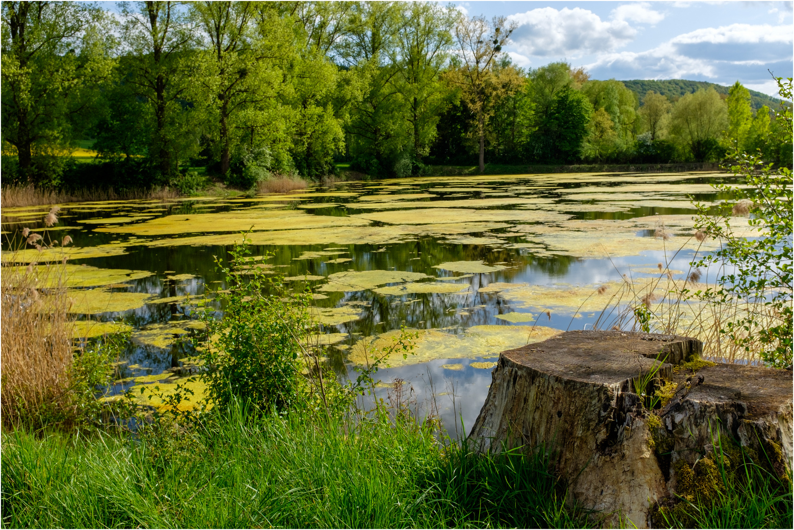 Teich bei Aue in Hessen