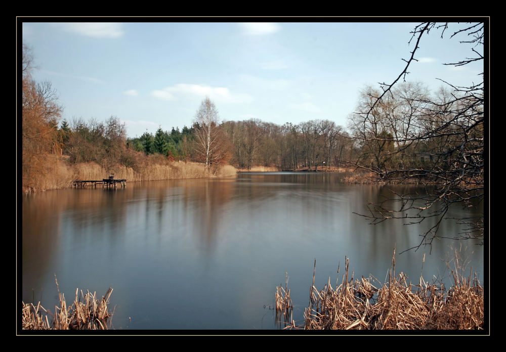 Teich bei Bad Freienwalde "mir gefiel die Stimmung"