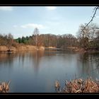 Teich bei Bad Freienwalde "mir gefiel die Stimmung"