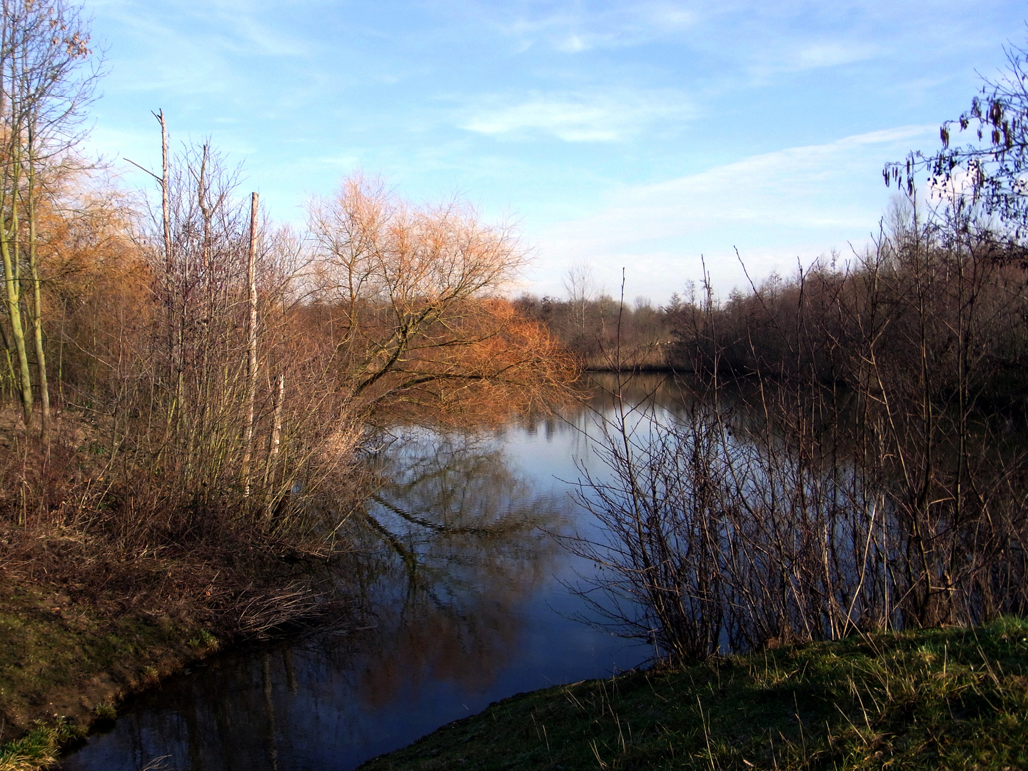 Teich bei Bedburg