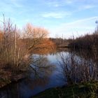 Teich bei Bedburg