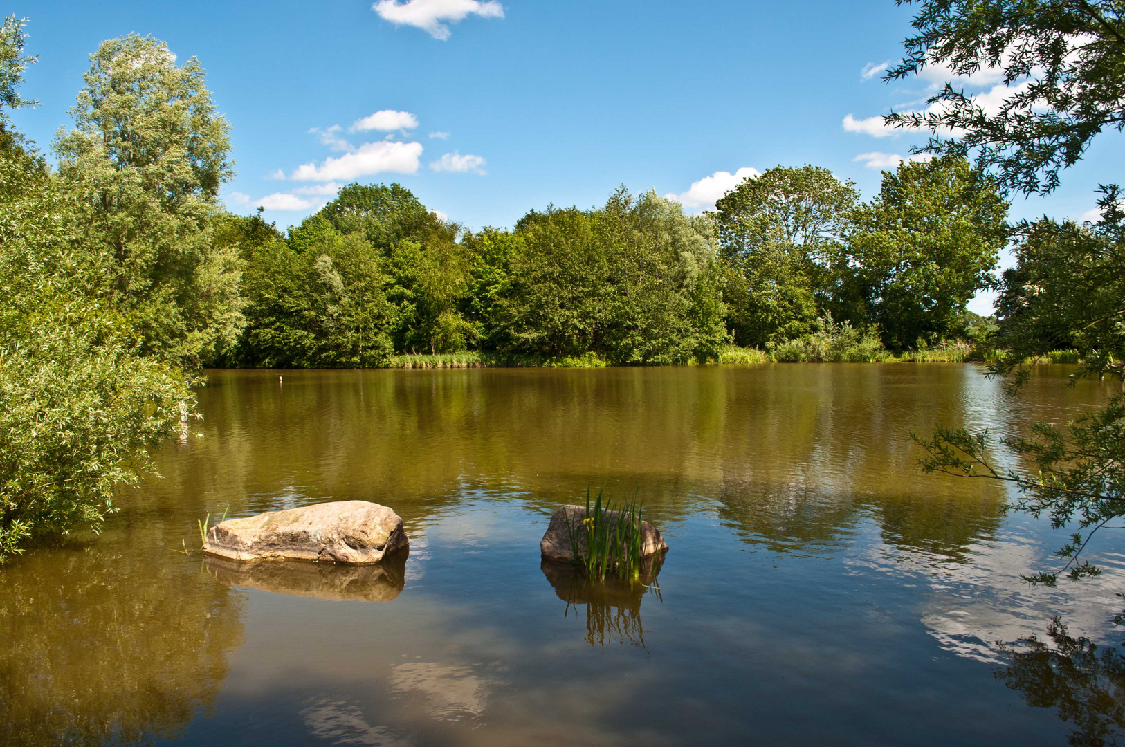 Teich bei Boksee, Kiel