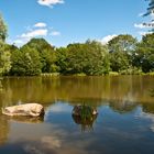 Teich bei Boksee, Kiel