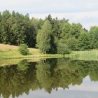 Teich bei Görsdorf...