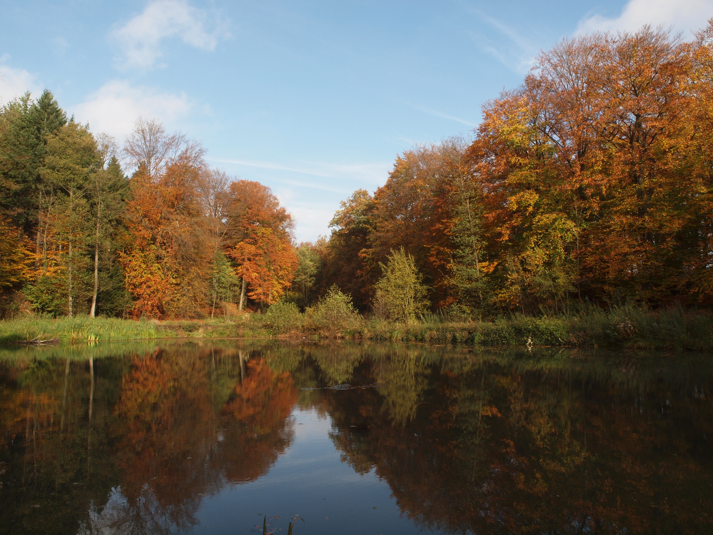 Teich bei Gut Daudieck / Horneburg