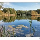 Teich bei Haidemühl...