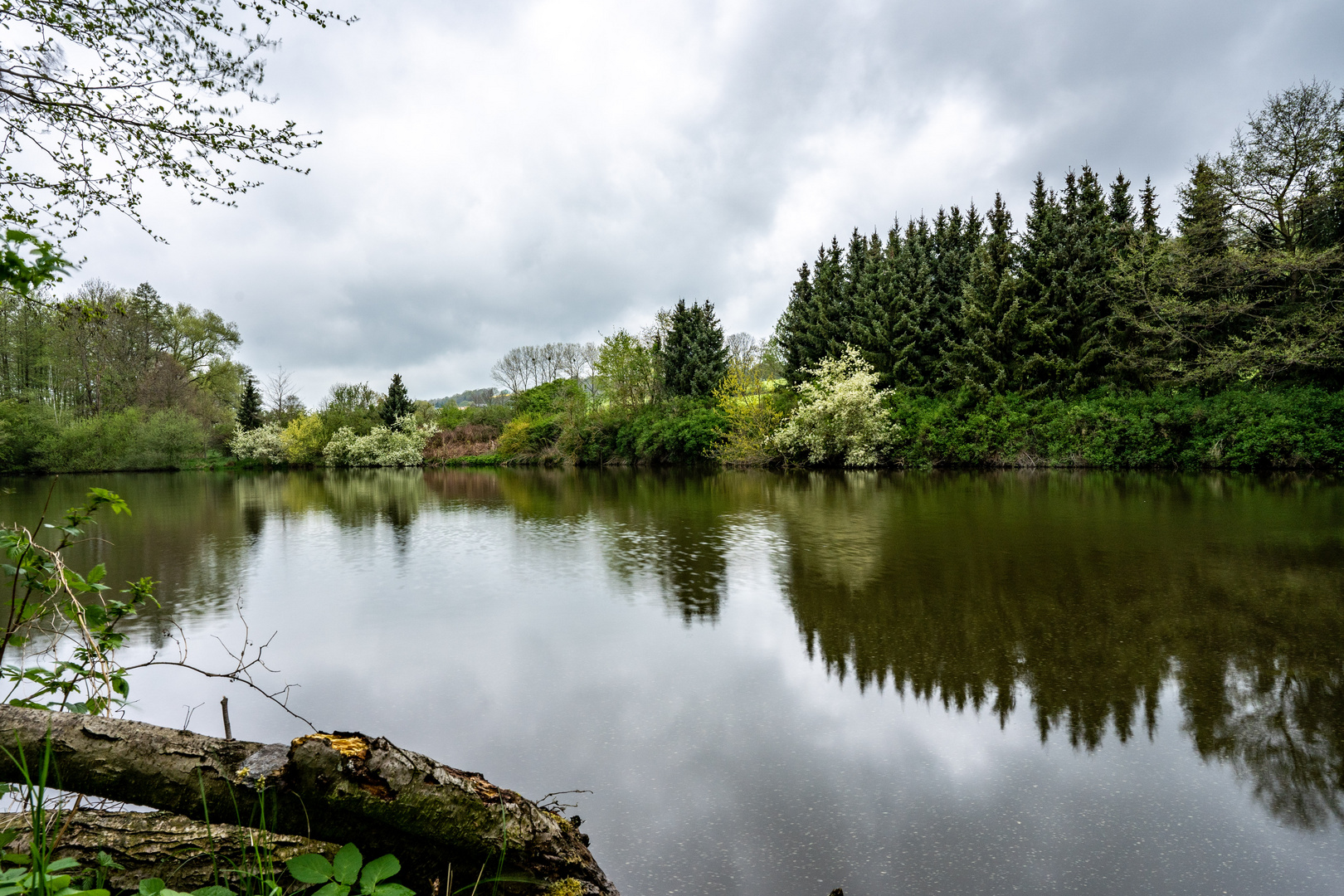 Teich bei Hermsdorf am Wilisch