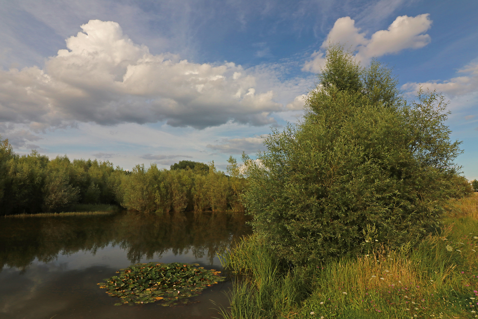 Teich bei Lamme