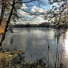 Teich bei Muckental