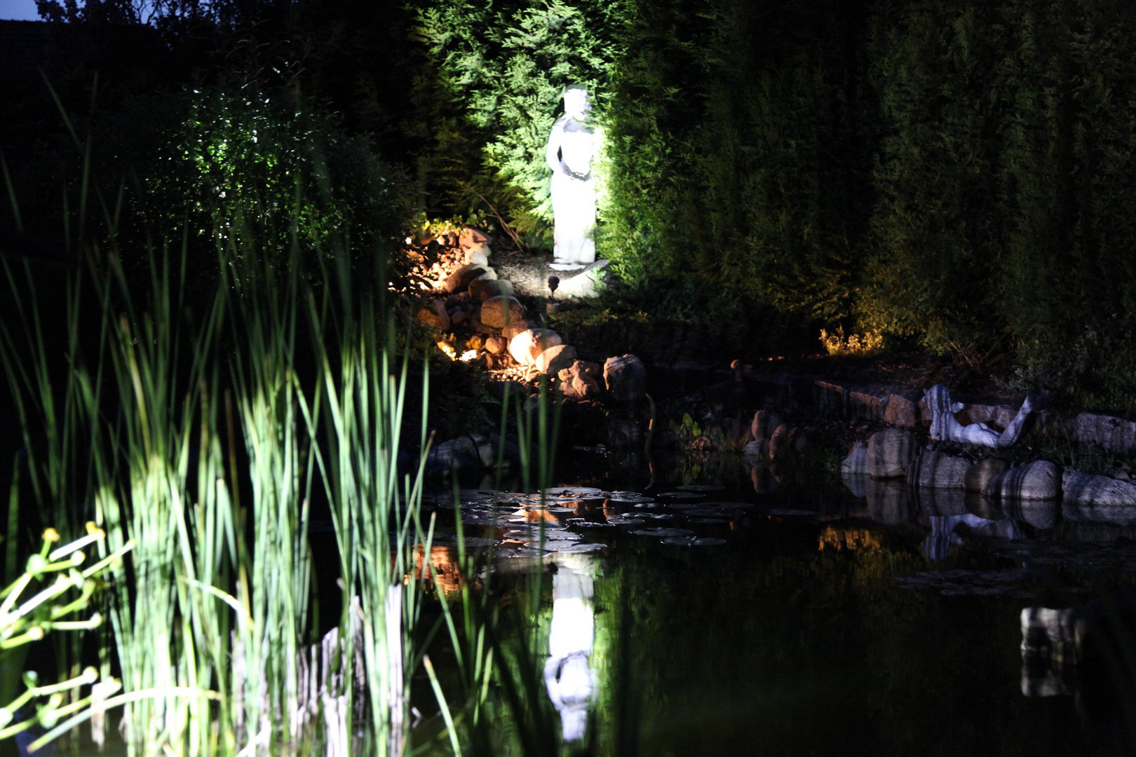 Teich bei Nacht Foto & Bild landschaft, garten & parklandschaften