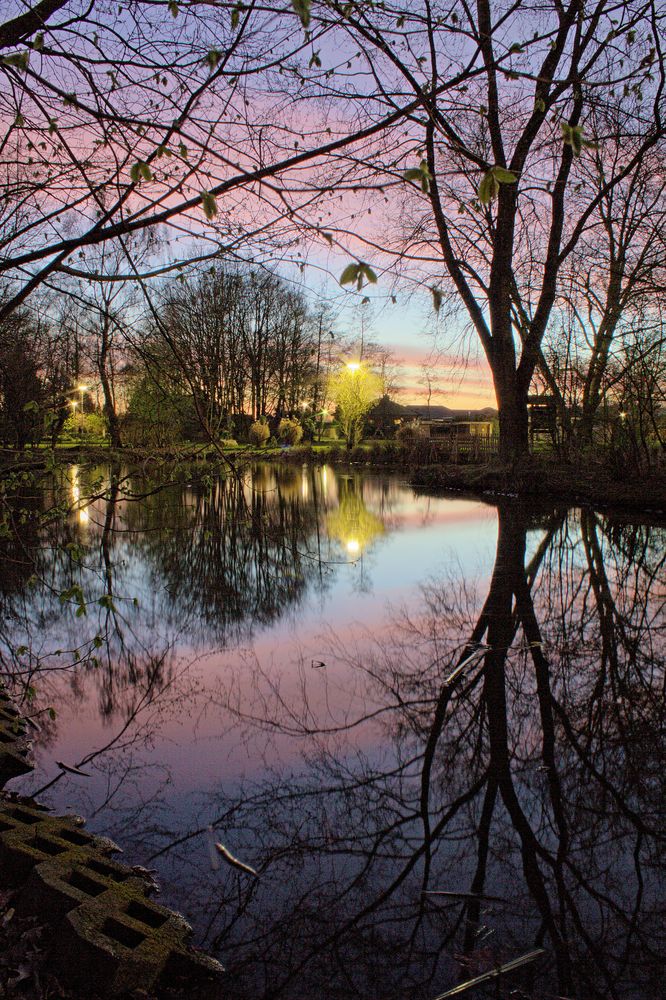 Teich bei Nacht