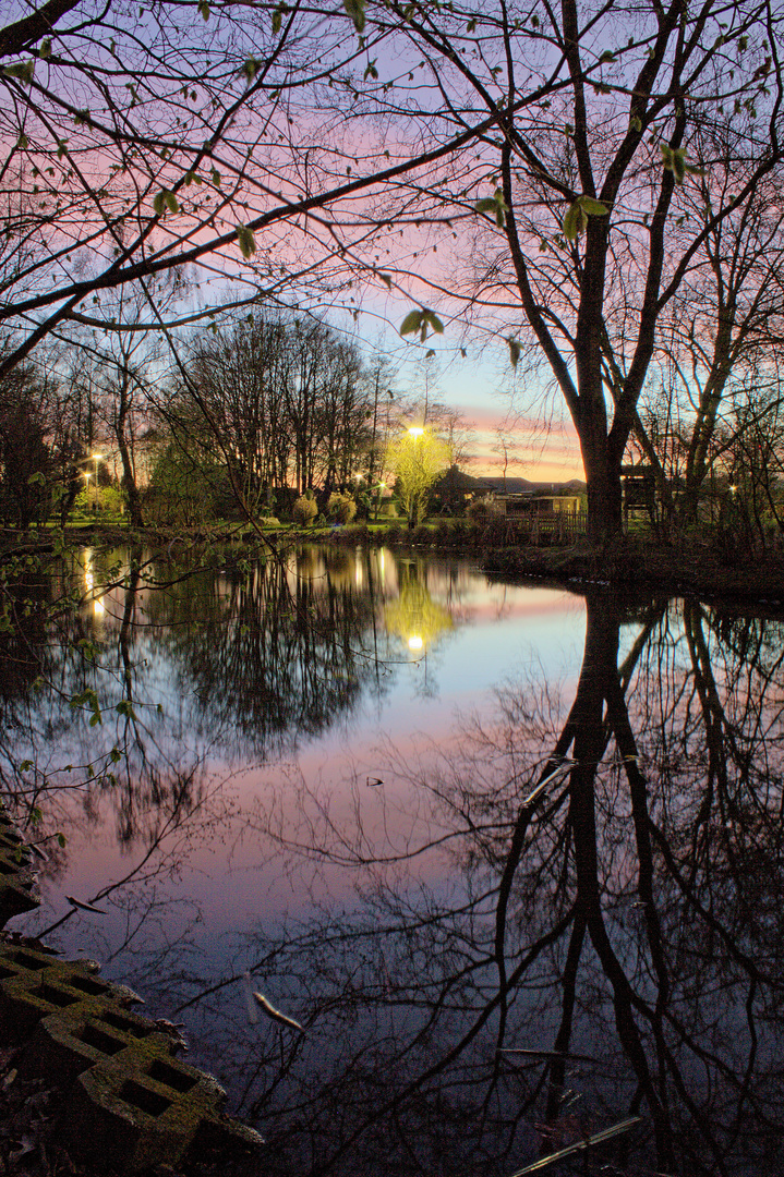 Teich bei Nacht Foto & Bild landschaft, bach, fluss & see, see, teich