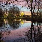 Teich bei Nacht