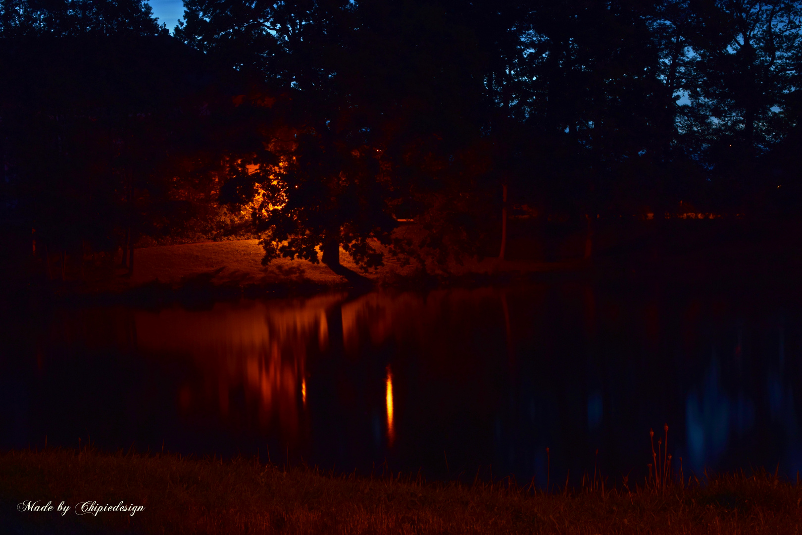 Teich bei Nacht